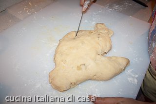 preparare la colomba senza stampo