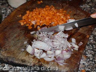carota e cipolla