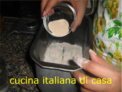 lievito