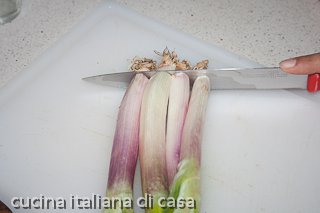 cipollotti freschi