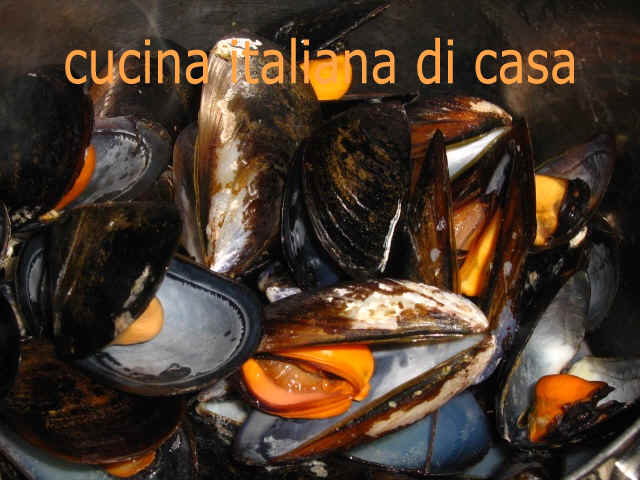 cozze