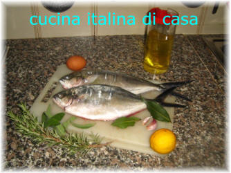 leccia