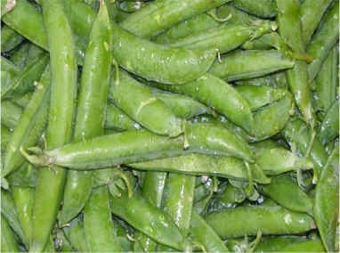piselli freschi