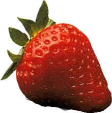 ricette con le fragole
