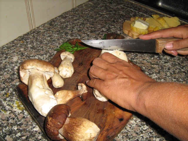 tagliare i funghi porcini
