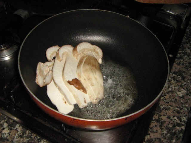 funghi porcini