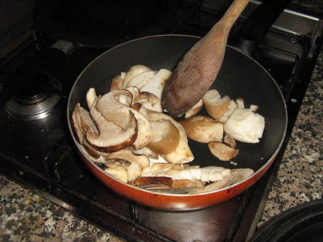 funghi porcini