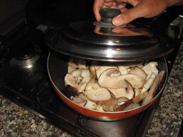 funghi porcini