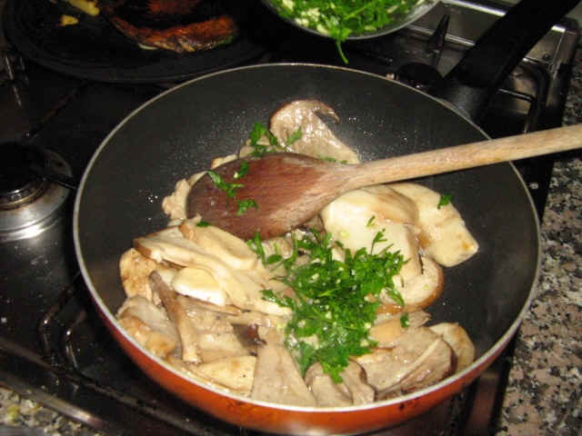 funghi porcini