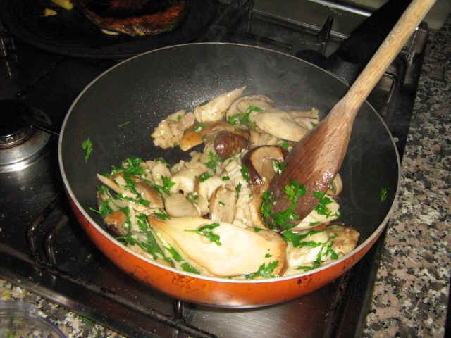 funghi porcini