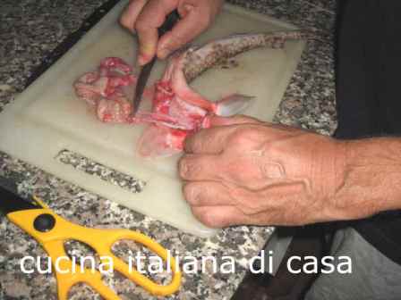 gattuccio
