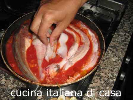 pesci