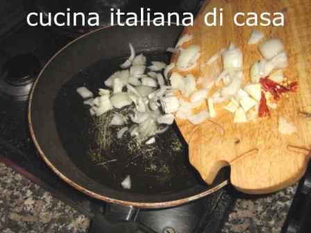 cipolla