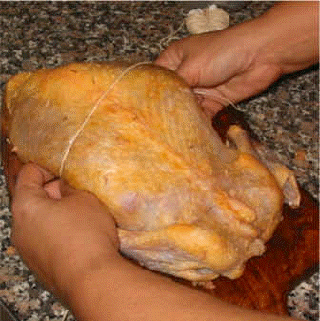 legare la faraona