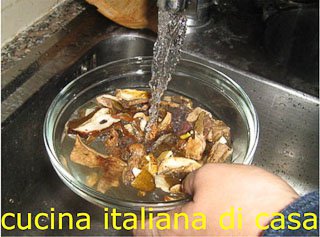 funghi secchi