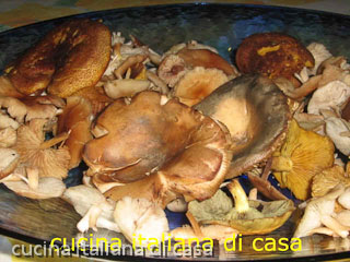 funghi misti