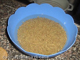 lenticchie
