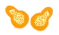 zucca