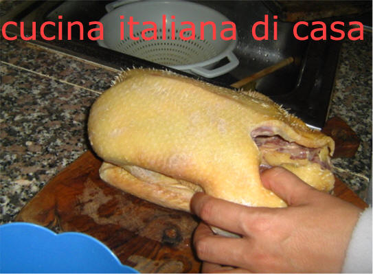 Anitra