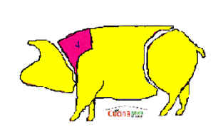 Coppa