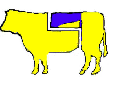 Lombata 