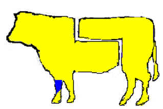Geretto anteriore