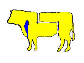 Fusello o Girello di spalla