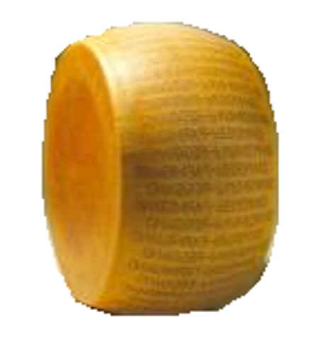 Parmigiano 