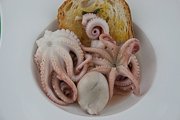 guazzetto bianco di moscardini