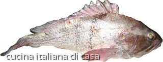Cernia