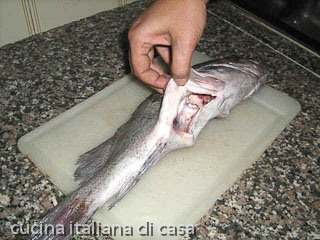 pulire la cernia