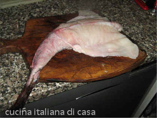 coda di rospo