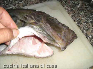 pesce san pietro