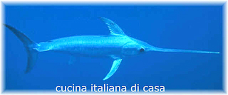Pesce spada