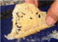 savaren di parmigiano ai funghi