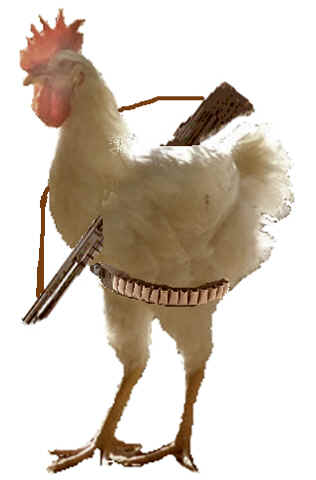 pollo