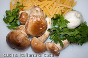 porcini