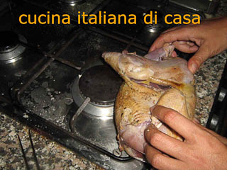 Fagiano
