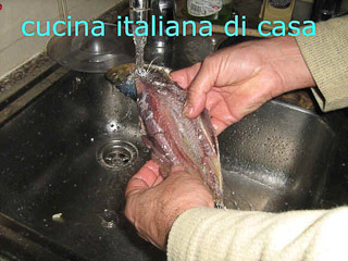 pesce