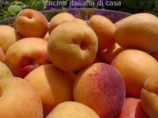 albicocche
