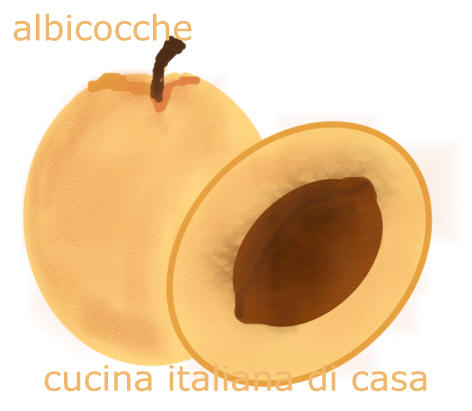 albicocche