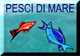 pesce di mare