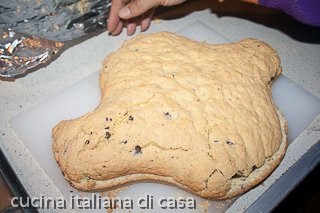 la colomba farcita