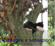 aprile