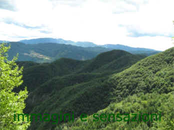 giugno
