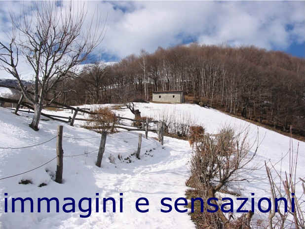 dicembre
