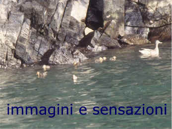 giugno