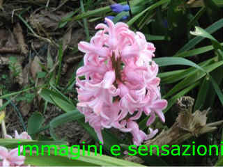 marzo