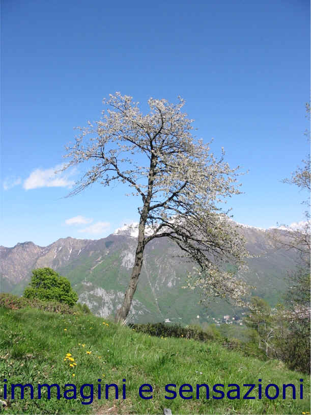 ottobre