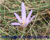 settembre